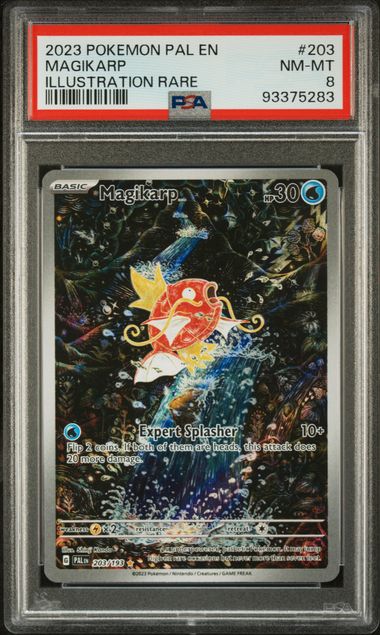 (EN) PSA 8 Karpador 203